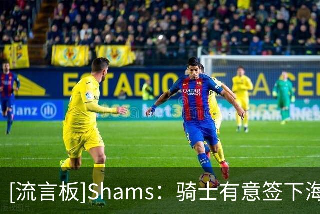 [流言板]Shams：骑士有意签下海佐尼亚，将其视为詹姆斯的“替代者”